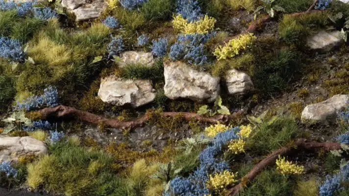 Bluebeard Flowers - Image 3