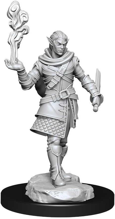 Critical Role Elf Pallid Rogue / Bard Male