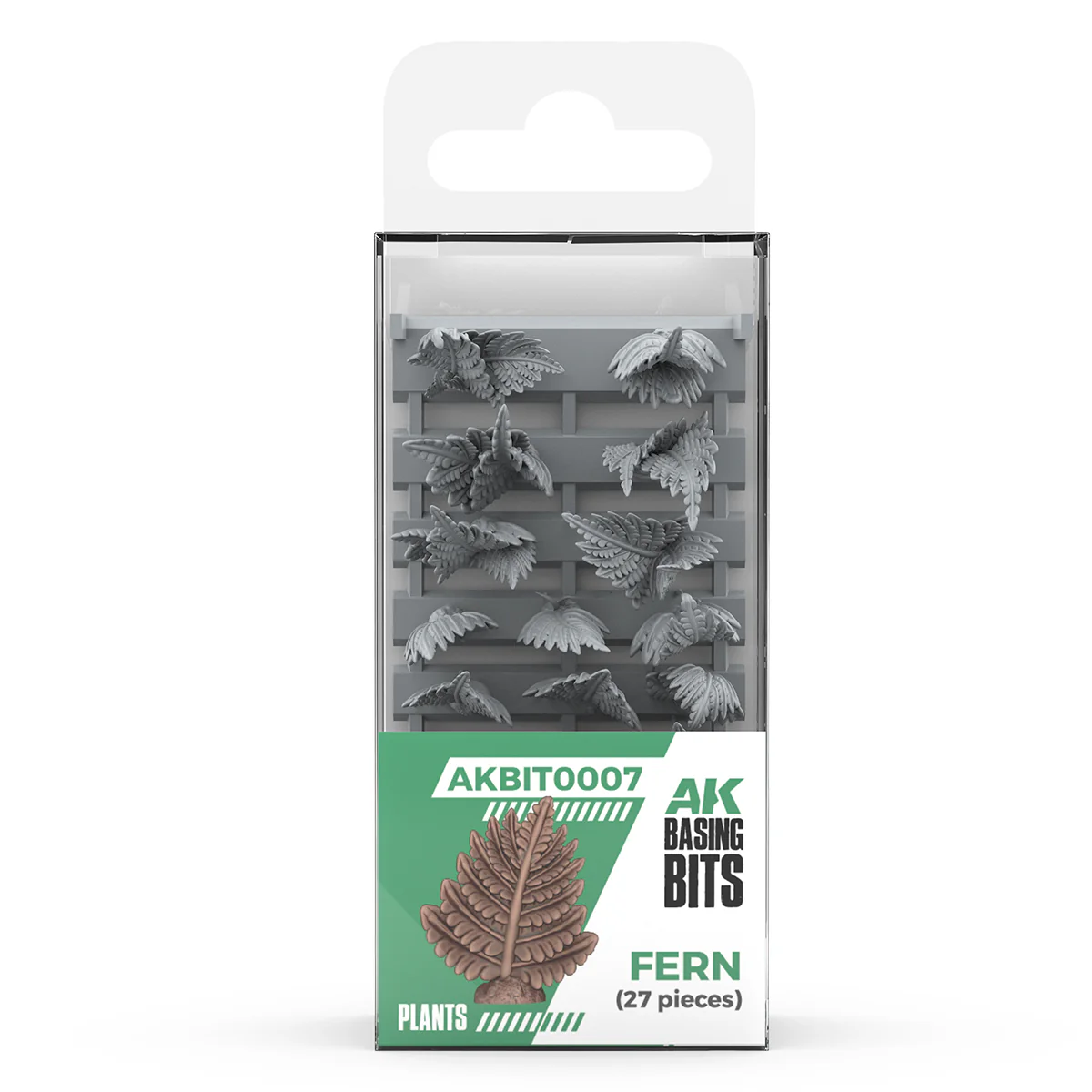 Fern
