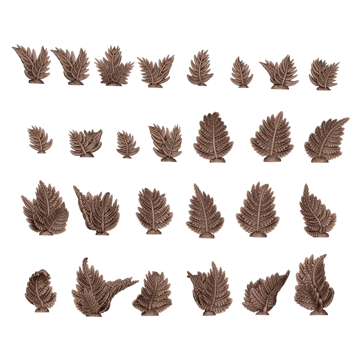 Fern - Image 2