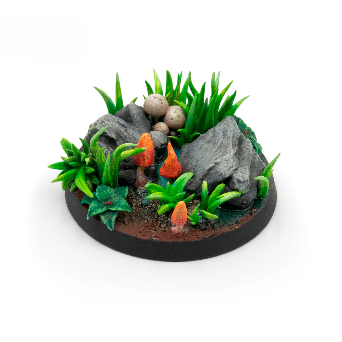 Fern - Image 4