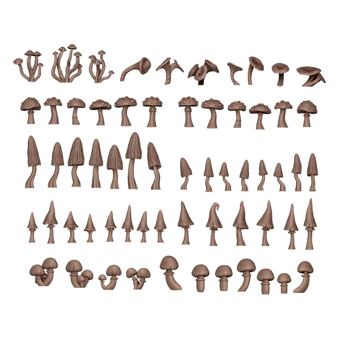 Forest Mushrooms - Image 2