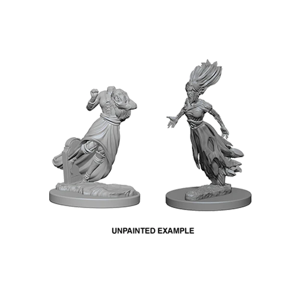 Nolzur's Marvelous Miniatures: Ghost & Banshee