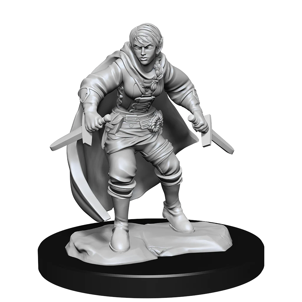 Half-Elf Rogue Female - Image 2