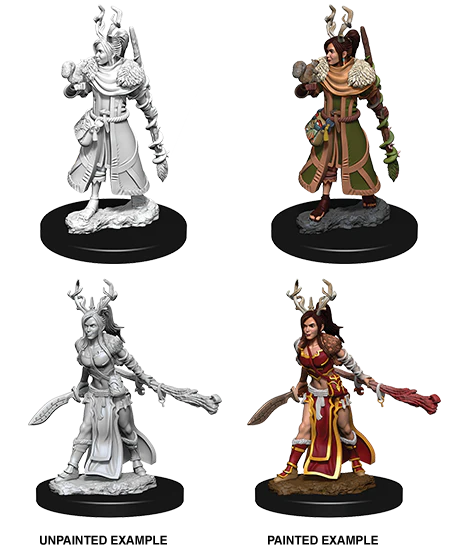Nolzurs Marvelous Miniatures Human Female Druid