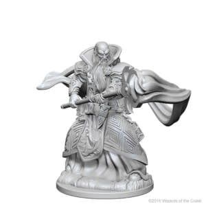 Nolzur’s Marvelous Miniatures: Human Male Wizard