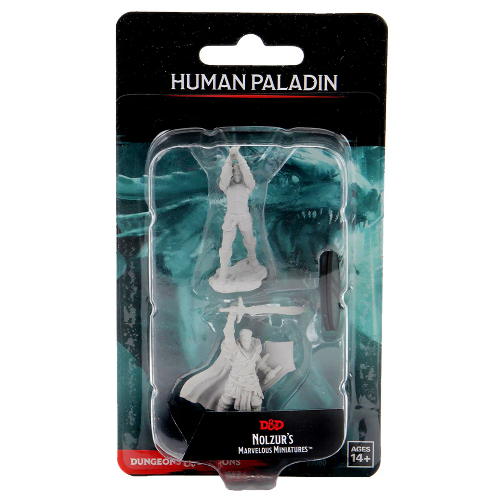 Nolzur's Marvelous Miniatures: Human Paladin Male