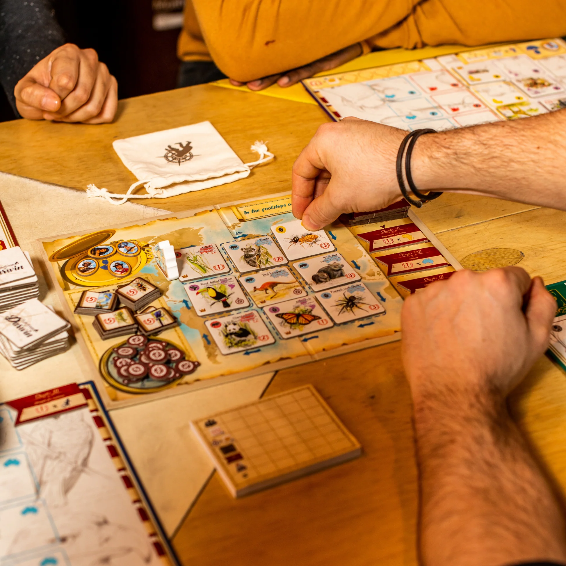 In the Footsteps of Darwin: A Tile-Laying Strategy Board Game - Image 3