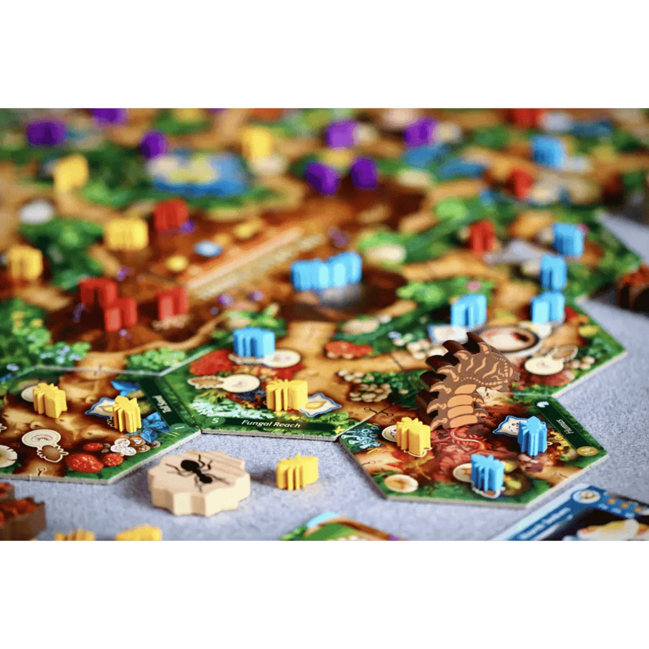 March of the Ants + Expansions