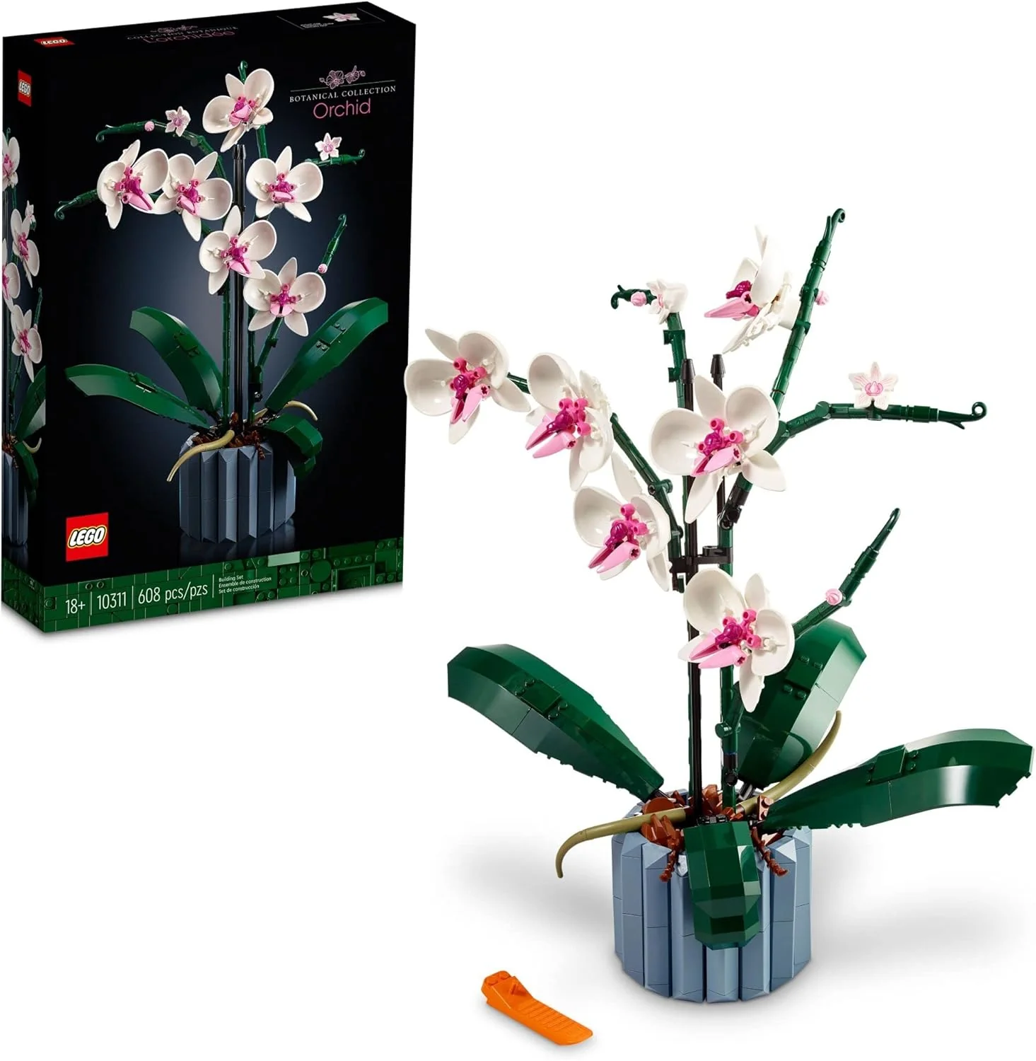 Orchids