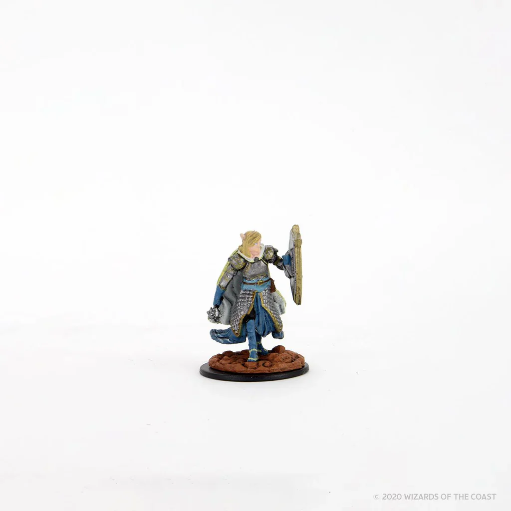 Premium Elf Male Cleric - Image 2