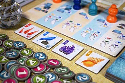 The Whatnot Cabinet Board Game - Image 3