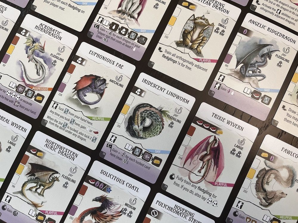 Wyrmspan: Dragon Academy - Image 2
